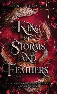 King of Storms and Feathers A Dark Fae Fantasy Romance - Juno Heart - Libro in lingua inglese - Amy J. Heart - Actieprijs
