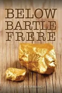 Below Bartle Frere - Christopher Cummings - Libro in lingua inglese - Doctorzed Publishing - Flitsaanbieding