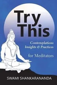 Express Levering Try This Contemplations Insights & Practices for Meditators Contemplations Insights & Practices Contemplations and Practices for Meditators - Swami Shankarananda - Libro in lingua inglese - Shaktipat Press -