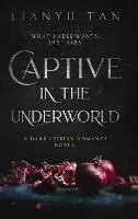 Lage Kosten Captive in the Underworld A Dark Lesbian Romance Novel - Lianyu Tan - Libro in lingua inglese - Shattered Scepter Press -
