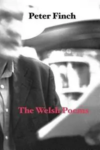The Welsh Poems - Peter Finch - Libro in lingua inglese - Shearsman Books - Merkproduct