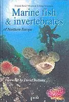 Express Levering Marine Fish & Invertebrates of Northern Europe - Frank Emil Moen - Erling Svensen - Libro in lingua inglese - AquaPress -