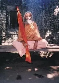 Nu Kopen Dandi Swami The Story of the Guru‘s Will, Maharishi Mahesh Yogi, the Shankaracharyas of Jyotir Math, & Meetings with Dandi Swami Narayananand Saraswati. - Paul Mason - Libro in lingua inglese - Premanand -