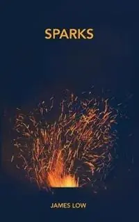 Sparks Flashes of insight from the Buddha‘s fire - James Low - Libro in lingua inglese - Simply Being - Gecertificeerd