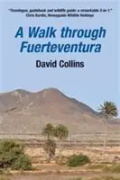 Gecertificeerd A Walk Through Fuerteventura - David Collins - Libro in lingua inglese - Houbara House -