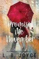 Promise Me November - L B Joyce - Libro in lingua inglese - Ljbibbobooks - Twelve Months, Twelve Love Stories Goedkoop