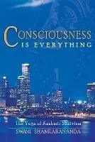 Dagaanbieding Consciousness is Everything The Yoga of Kashmir Shaivism - Swami Shankarananda - Libro in lingua inglese - Shaktipat Press -
