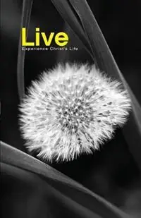 Live Experience Christ‘s Life - Joel T Comiskey - Libro in lingua inglese - CCS Publishers - Gereduceerde Prijs