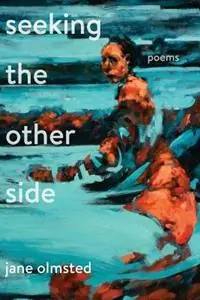 Seeking the Other Side - Jane Olmsted - Libro in lingua inglese - Louisville Review Corp. and Fleur-de-Lis Press - Bestseller