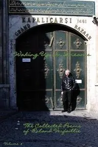 Seizoensaanbieding Waking Up In Dreams - Roland Verfaillie - Libro in lingua inglese - Purple Onion Press -