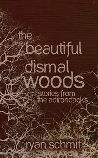 The Beautiful Dismal Woods Short Stories from the Adirondacks - Ryan Schmit - Libro in lingua inglese - Lucid Books - Hete Deal