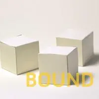 Bestel Nu Bound The First Array - Shanna Compton - Libro in lingua inglese - Bloof Books -