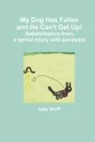 My Dog Has Fallen and He Can‘t Get Up! - Judy Wolff - Libro in lingua inglese - Jftm, LLC - Actieprijs
