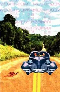 Mesh - Ken Coffman - Adina Pelle - Libro in lingua inglese - Stairway Press - Koop Vandaag