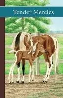 Sonrise Stable Tender Mercies - Vicki Watson - Libro in lingua inglese - Sonrise Stable Books - Op = Op