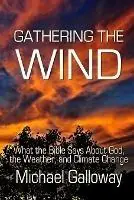 Gathering the Wind What the Bible Says About God, the Weather, and Climate Change - Michael Galloway - Libro in lingua inglese - Candlepower Publishing House - Lage Kosten