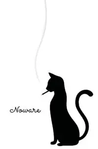 Laatste Versie Noware - Peter Hunt Welch - Libro in lingua inglese - Peter Welch -