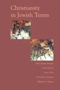 Christianity In Jewish Terms - David Novak - David Sandmel - Libro in lingua inglese - Basic Books - Express Levering