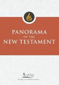 Korting Panorama of the New Testament - Stephen J. Binz - Libro in lingua inglese - Liturgical Press - Little Rock Scripture Study